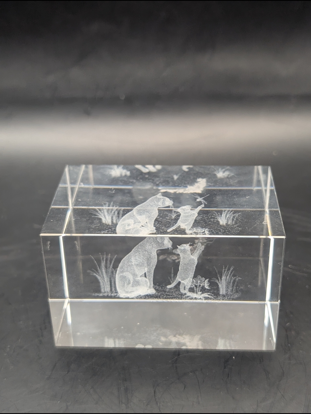 3d Etched Clear Paperweight With Cats